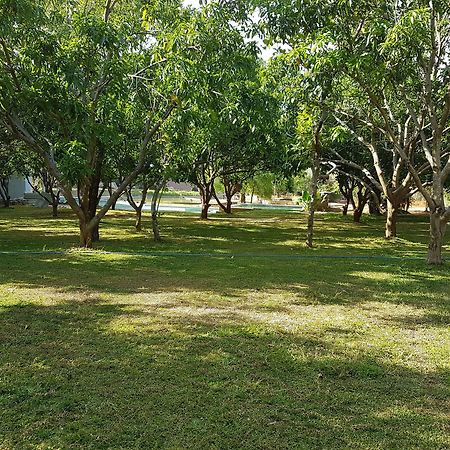 Liyya Water Villas Dambulla Exteriör bild